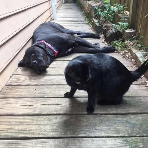 Meet your Posher, Alexandra - Picture 6 of 6